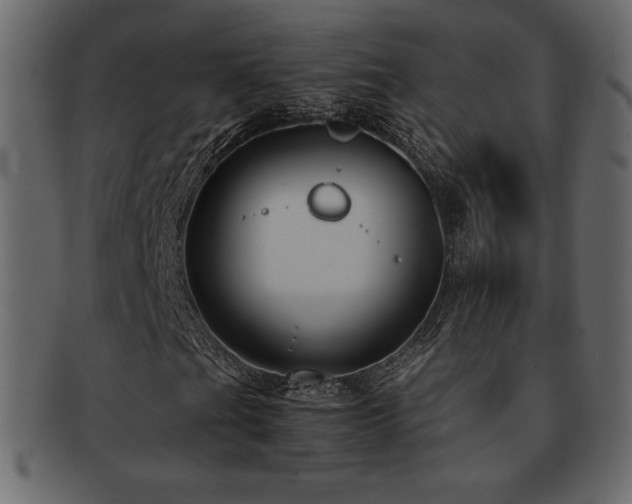 X0000093161201200709261502