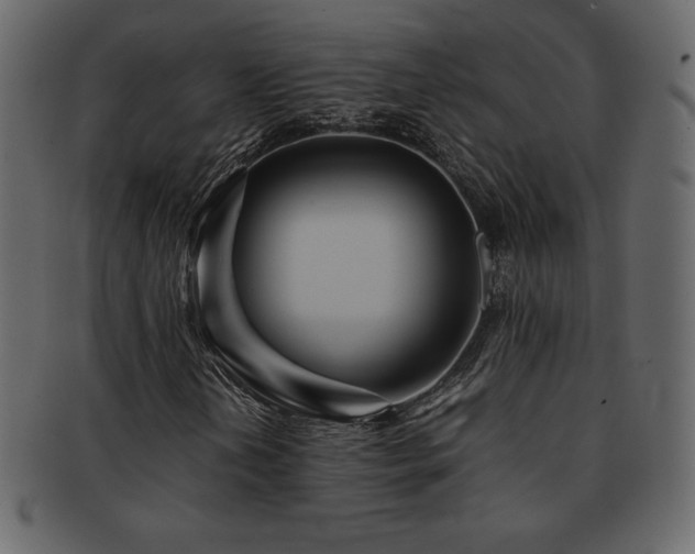 X0000093161202200709261502