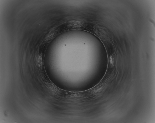 X0000093161203200709261502