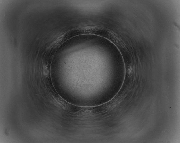 X0000093161204200709261502
