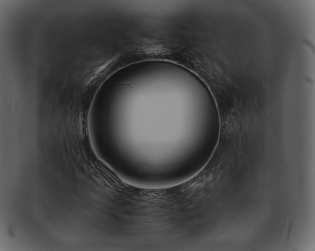 X0000093161205200709261502