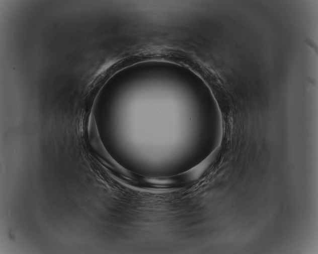 X0000093161206200709261502