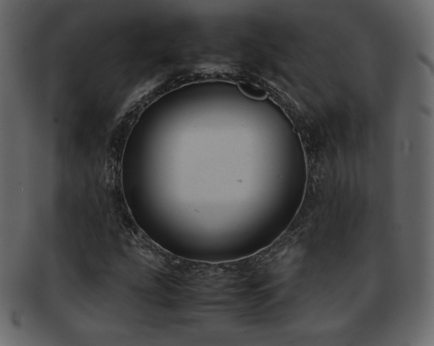 X0000093161207200709261502