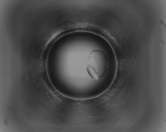 X0000093161208200709261502