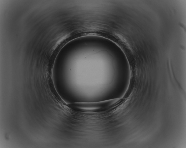 X0000093161210200709261502