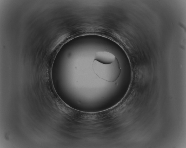 X0000093161211200709261502