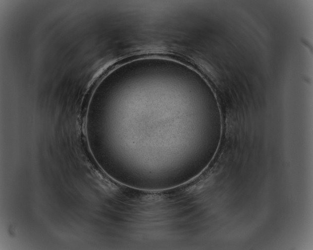 X0000093161212200709261502