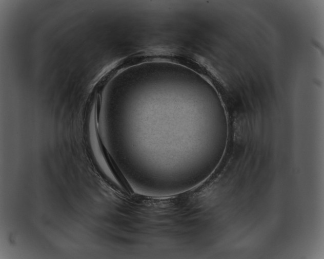 X0000093161213200709261502