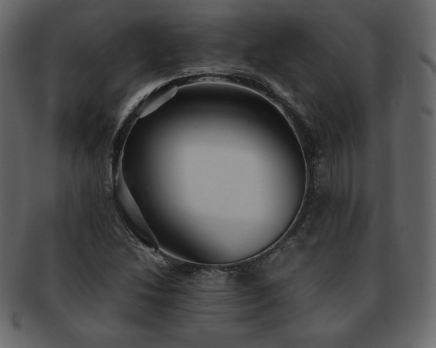 X0000093161214200709261502