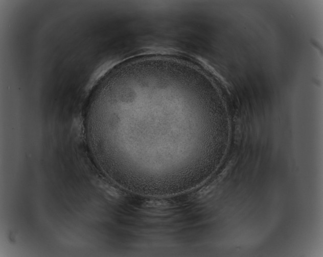X0000093161215200709261502