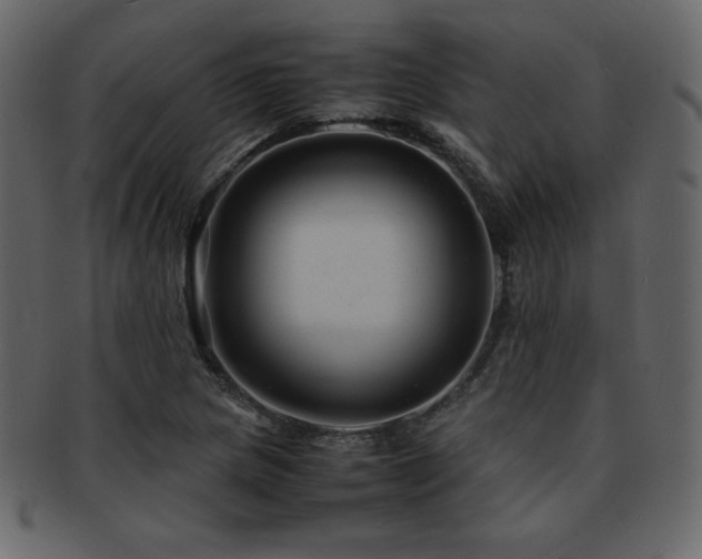 X0000093161217200709261502
