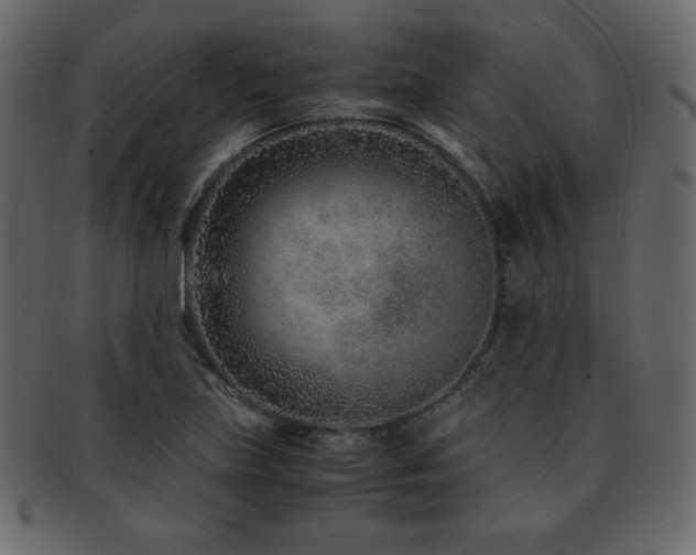 X0000093161219200709261502
