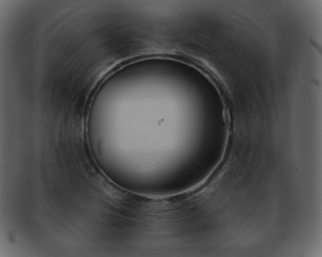 X0000093161220200709261502