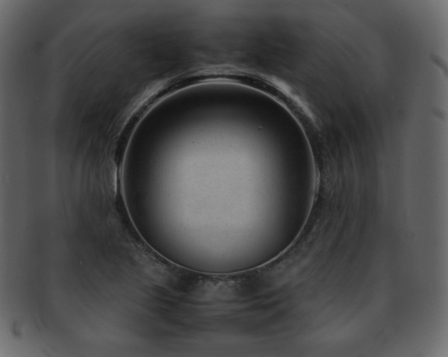 X0000093161221200709261502