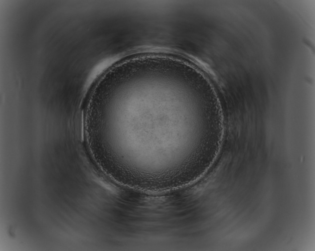 X0000093161223200709261502