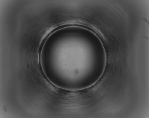 X0000093161224200709261502