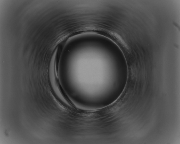 X0000093161225200709261502