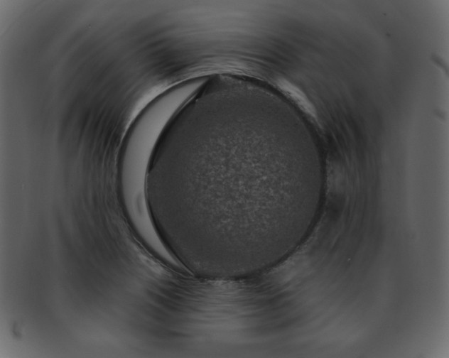 X0000093161226200709261502