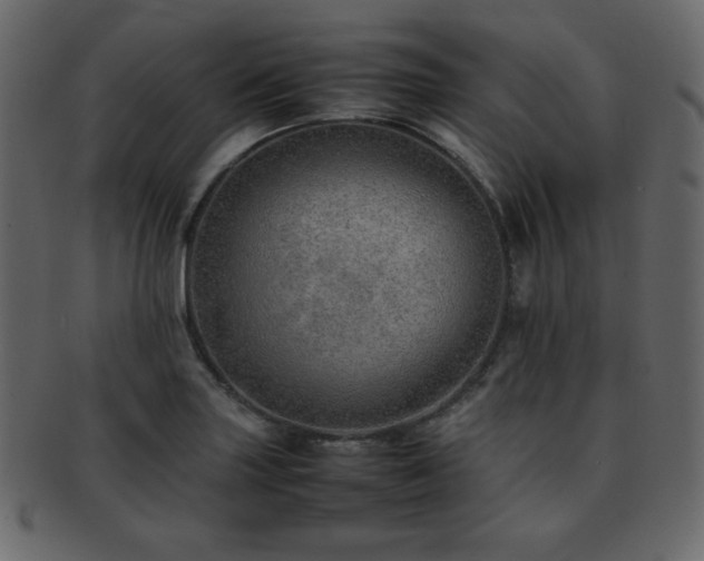 X0000093161227200709261502
