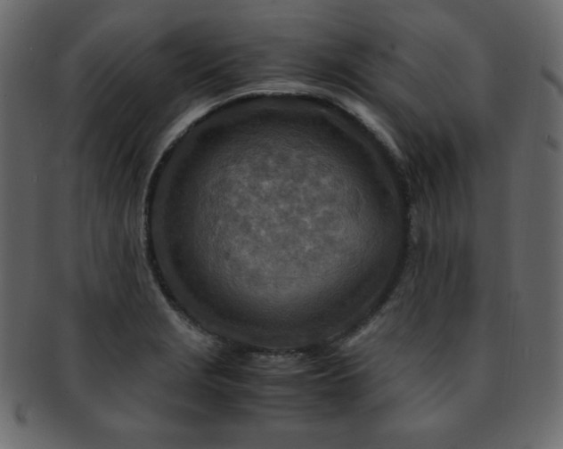 X0000093161229200709261502