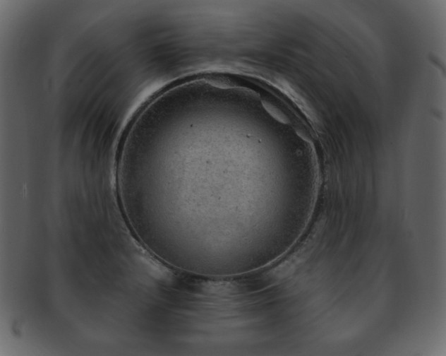 X0000093161232200709261502