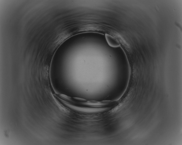 X0000093161233200709261502