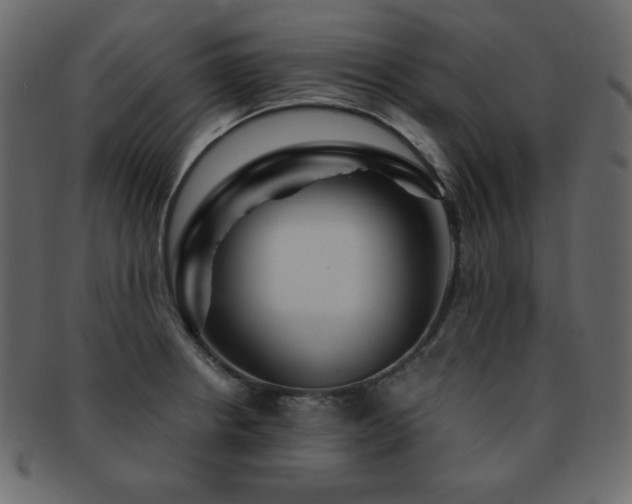X0000093161234200709261502