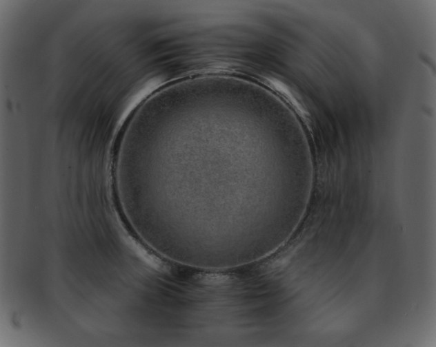 X0000093161235200709261502