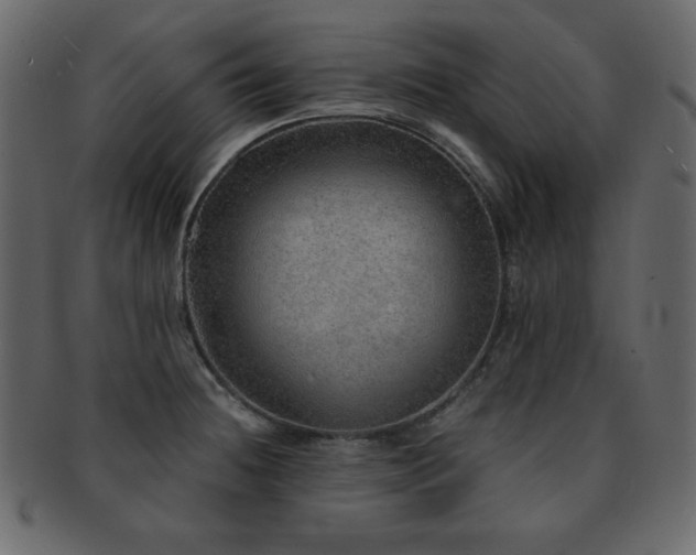 X0000093161236200709261502