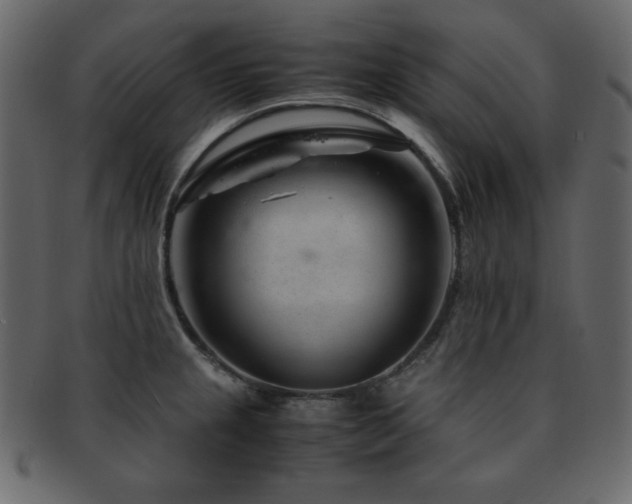 X0000093161237200709261502