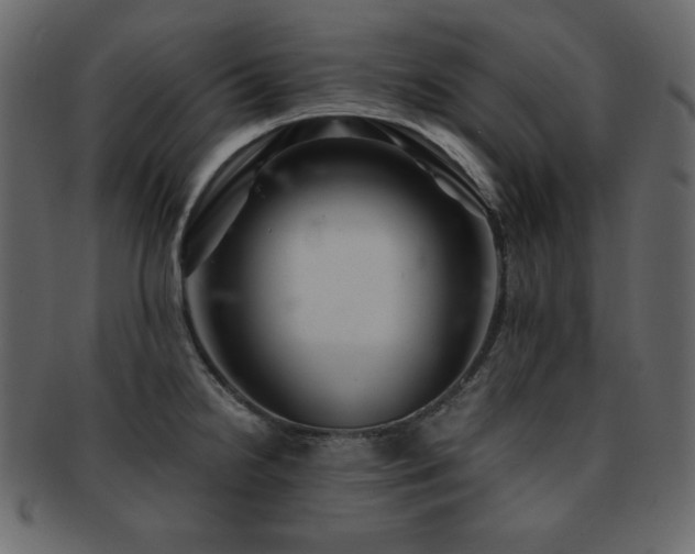 X0000093161238200709261502