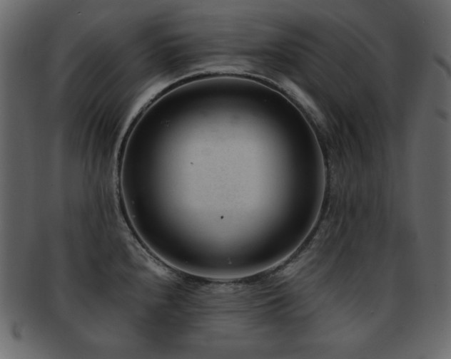 X0000093161240200709261503