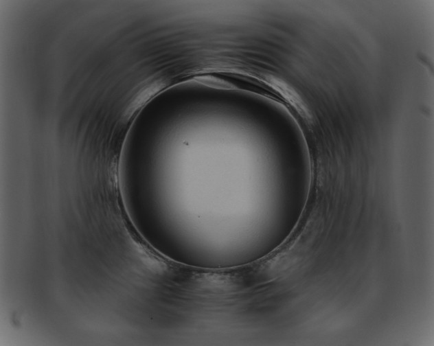 X0000093161241200709261503