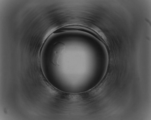 X0000093161242200709261503