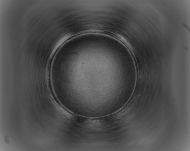 X0000093161243200709261503