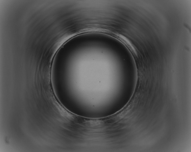 X0000093161244200709261503