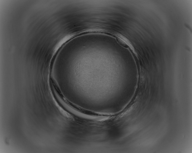 X0000093161245200709261503