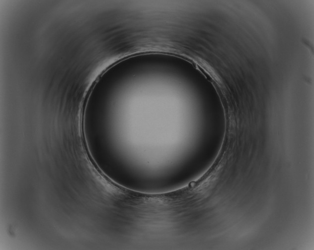 X0000093161246200709261503