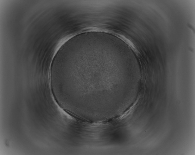 X0000093161247200709261503