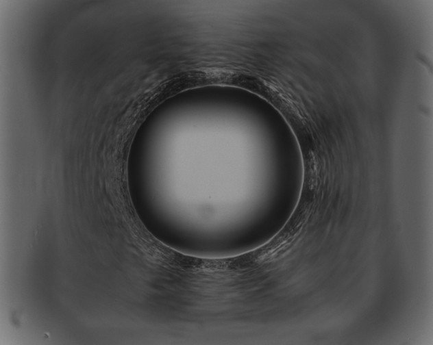 X0000093161249200709261502