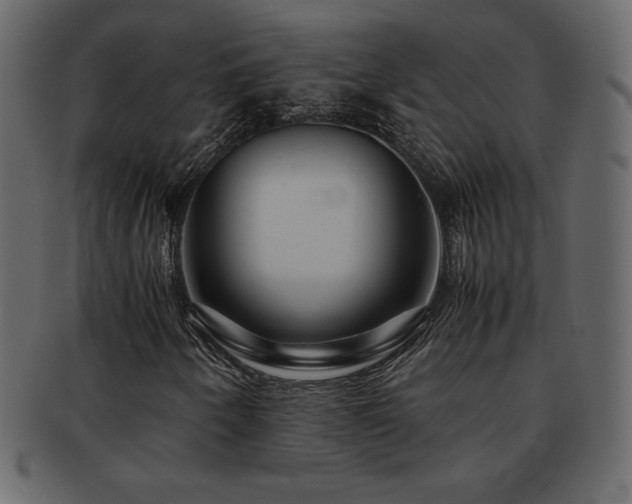 X0000093161250200709261502