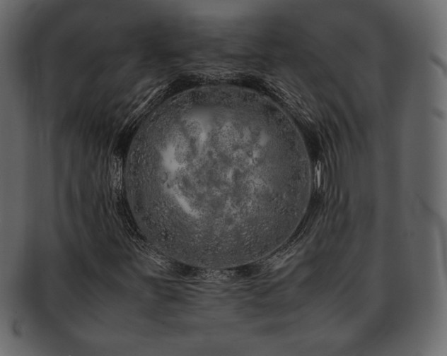 X0000093161251200709261502