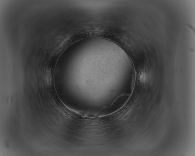X0000093161252200709261502