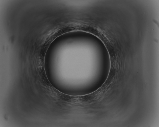 X0000093161253200709261502