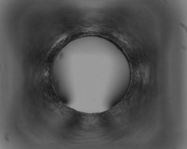 X0000093161254200709261502