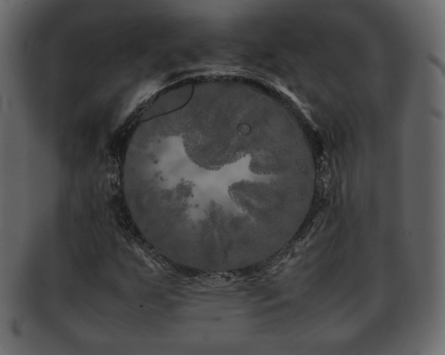 X0000093161255200709261502