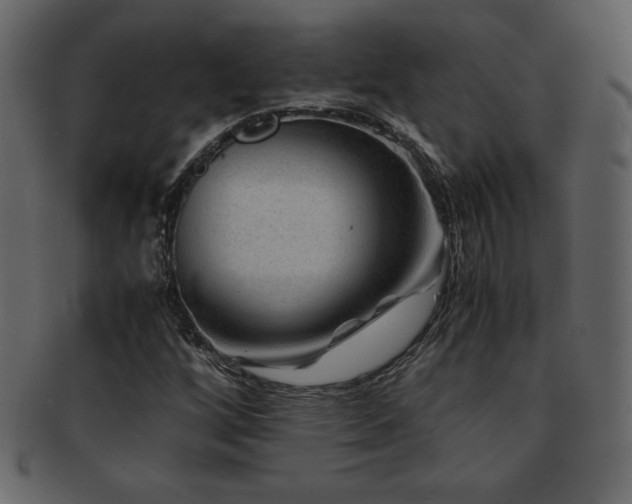 X0000093161256200709261502
