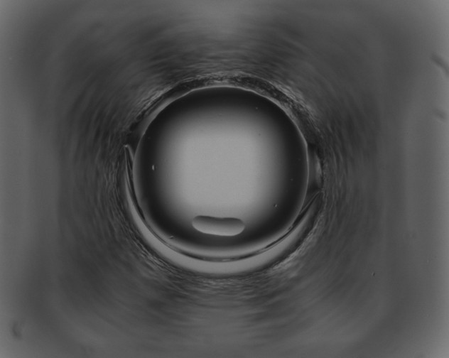 X0000093161257200709261502