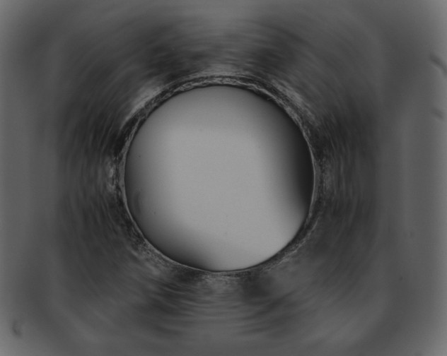 X0000093161258200709261502