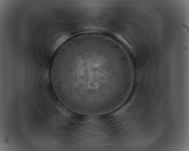 X0000093161259200709261502